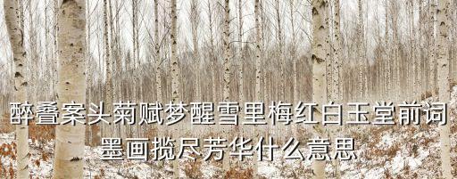 案頭菊，醉疊案頭菊賦夢(mèng)醒雪里梅紅白玉堂前詞墨畫攬盡芳華什么意思