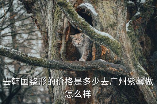 金孝憲要去廣州紫 馨妙手，去韓國整形的價(jià)格是多少去廣州紫馨做怎么樣