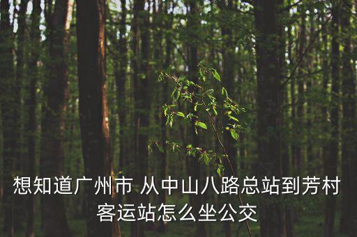 廣州中山八路到芳村，中山八路怎么去廣州市荔灣區芳村荷景路東塱工業園11號