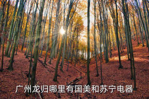廣州越秀區國美電器，廣州市國美電器奧體店具體地址是在哪里的
