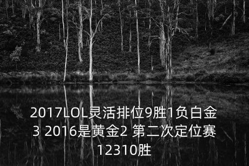 2017廣州圍棋定段賽，廣東省圍棋定級定段賽