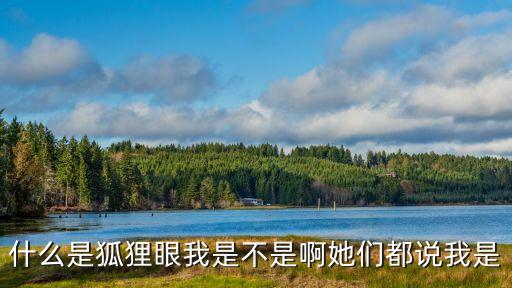 狐貍之眼，什么是狐貍眼我是不是啊她們都說我是