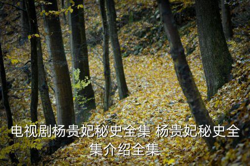 電視劇楊貴妃秘史全集 楊貴妃秘史全集介紹全集