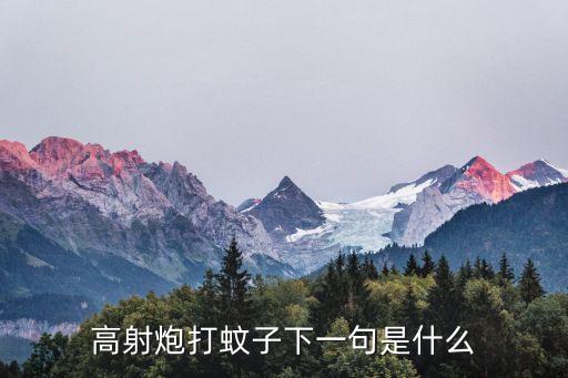 高射炮打蚊子，高射炮打蚊子是什么
