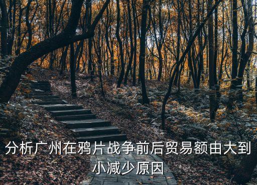 分析廣州在鴉片戰爭前后貿易額由大到小減少原因