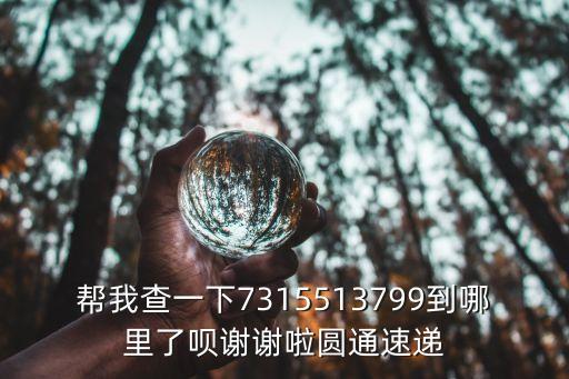 幫我查一下7315513799到哪里了唄謝謝啦圓通速遞