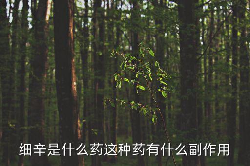 細辛是什么藥這種藥有什么副作用