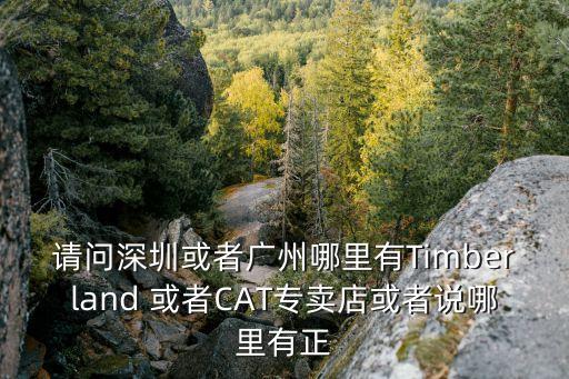 愛帕藍(lán)廣州專賣店，廣州哪里有BALMER手表的專賣店