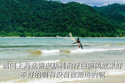 上海市武警總隊(duì)張武平，負(fù)責(zé)世博會(huì)安保是哪支部隊(duì)