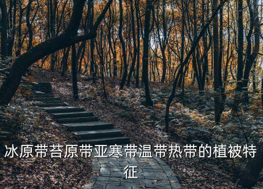 苔原帶，冰原帶苔原帶亞寒帶溫帶熱帶的植被特征