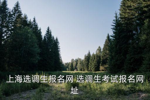上海市專職消防員招錄公示，哪里可以看到招聘專職消防員信息