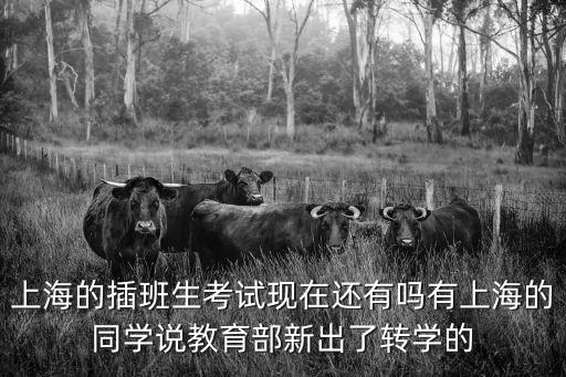 上海市插班生和轉(zhuǎn)學(xué)生，上海的插班生考試現(xiàn)在還有嗎有上海的同學(xué)說(shuō)教育部新出了轉(zhuǎn)學(xué)的