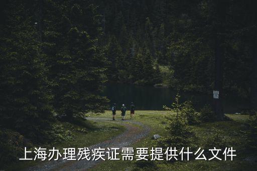 上海市殘疾人辦理程序，在上海辦理殘疾證的程序