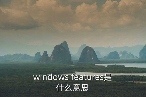 features，windows features是什么意思
