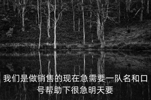 我們是做銷售的現在急需要一隊名和口號幫助下很急明天要