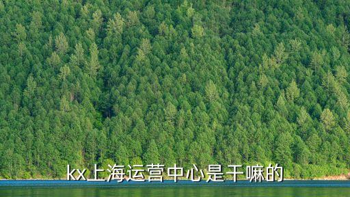 上海市物聯網運營中心，上海市金山區石化衛零北路568號恒信通訊大廈14樓瑞鑫百貨旁