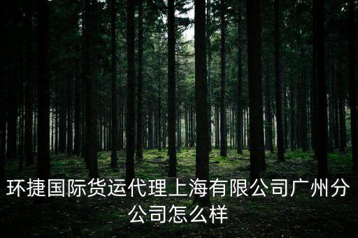 環捷國際貨運代理上海有限公司廣州分公司怎么樣