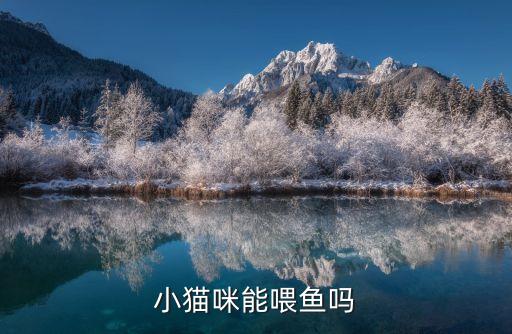 小貓咪吃魚，小貓咪能喂魚嗎