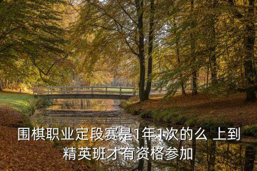 圍棋職業(yè)定段賽是1年1次的么 上到精英班才有資格參加