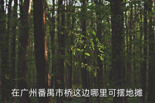 廣州番禺?dāng)[地?cái)偰睦镒顭狒[，廣州市有哪些可以擺地?cái)偟牡胤阶詈檬欠畢^(qū)