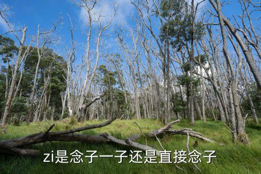 念子，zi是念子一子還是直接念子