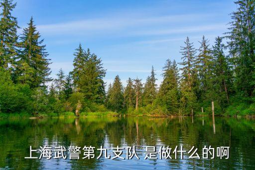 上海市松浦大橋武警九中隊，上海武警第九支隊 是做什么的啊