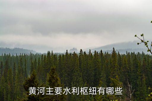 水利樞紐，請說出水利樞紐的定義