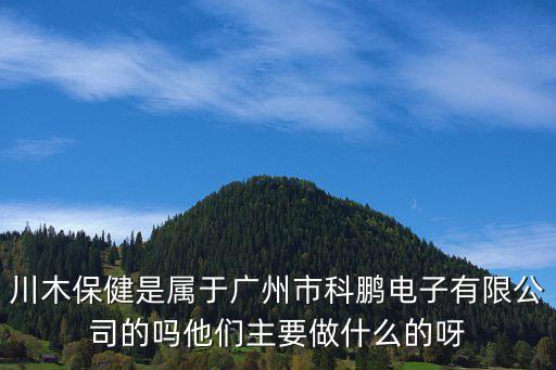 川木保健是屬于廣州市科鵬電子有限公司的嗎他們主要做什么的呀