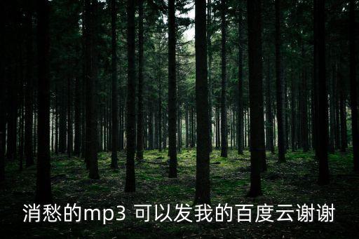 消愁的mp3 可以發我的百度云謝謝