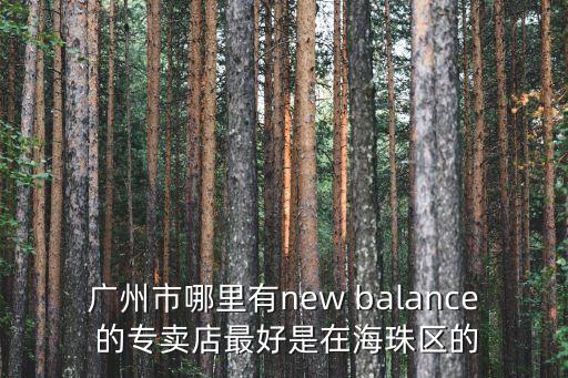 廣州市哪里有new balance 的專賣店最好是在海珠區的