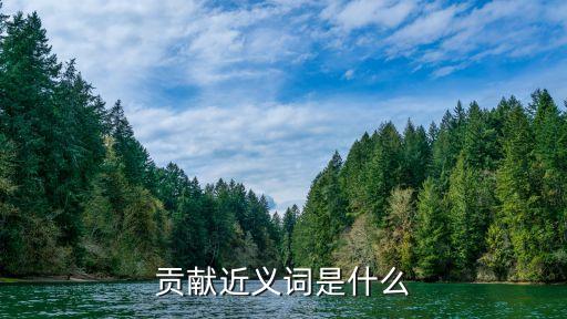 貢獻近義詞是什么