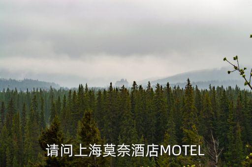 請(qǐng)問(wèn)上海莫奈酒店MOTEL