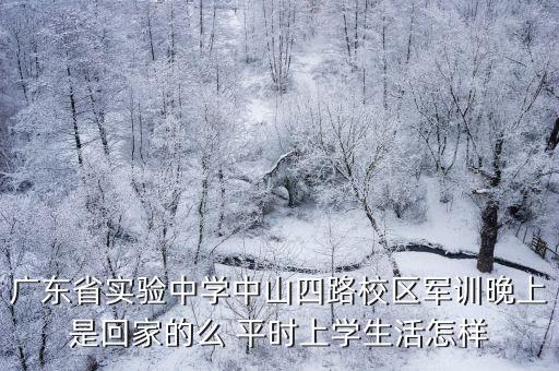 廣州省實高一軍訓19屆，09省實高一軍訓