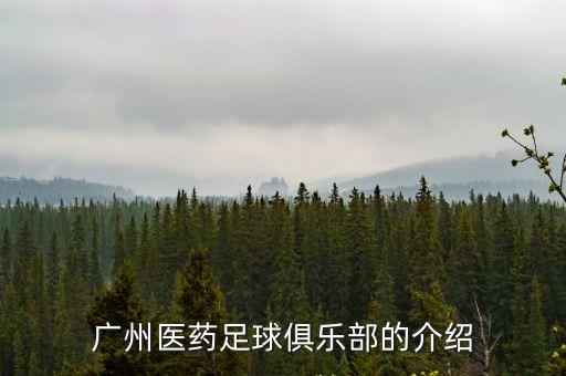 廣州醫(yī)藥足球俱樂部的介紹