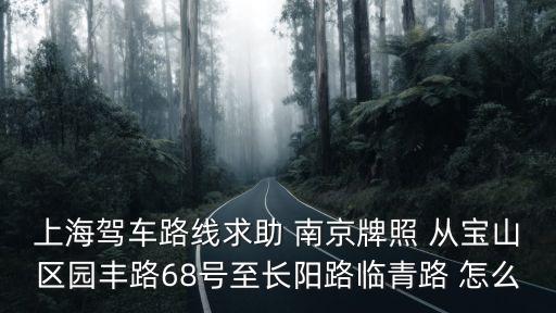上海駕車路線求助 南京牌照 從寶山區園豐路68號至長陽路臨青路 怎么