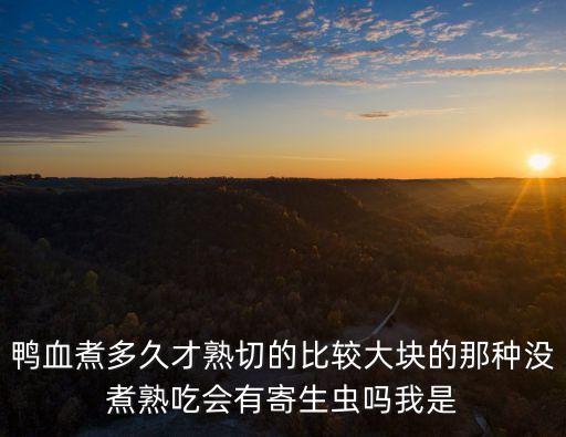 鴨血煮多久，六個月的寶寶吃鴨血要煮多長時間
