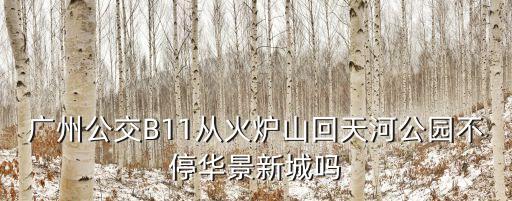 廣州b11不發車，廣州公交路線B11