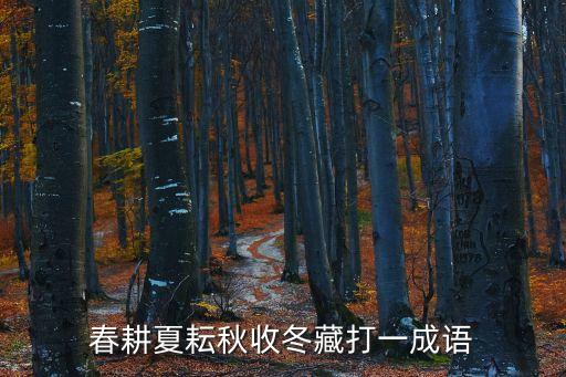 春耕夏耘秋收冬藏，猜謎語 春耕夏耘秋收冬藏 成語
