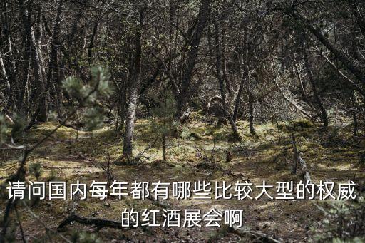 第四屆廣州國際名酒展，請問國內每年都有哪些比較大型的權威的紅酒展會啊