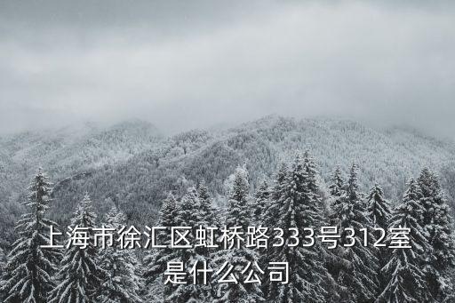 上海市徐匯區(qū)虹橋路333號312室是什么公司