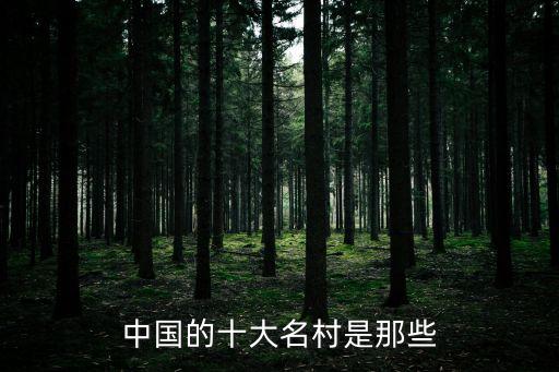 市場(chǎng)第一村一一上海市，中國(guó)第一村是那個(gè)村