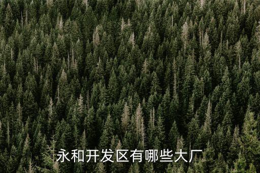 廣州永和都有什么廠，永和開發(fā)區(qū)有哪些大廠