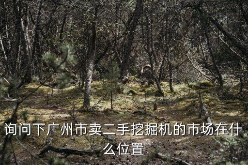 廣州挖機出租公司地址，詢問下廣州市賣二手挖掘機的市場在什么位置