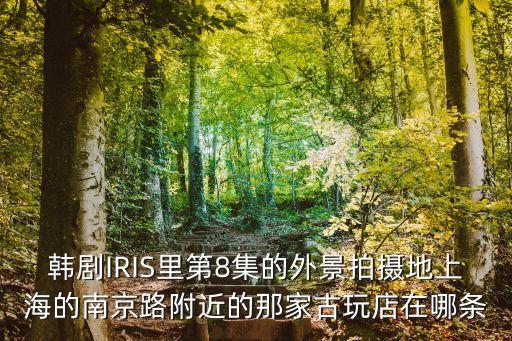 韓劇IRIS里第8集的外景拍攝地上海的南京路附近的那家古玩店在哪條