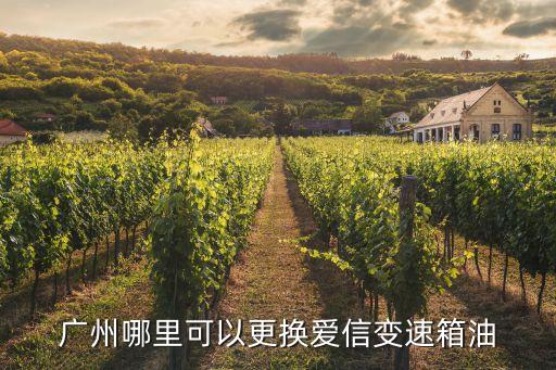 廣州哪里可以更換愛信變速箱油