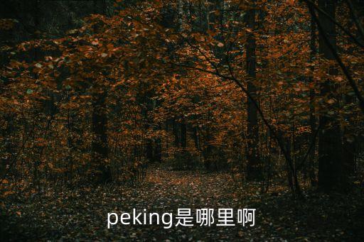 peking是哪里啊