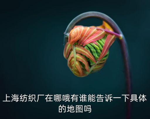 上海市閔行區光明路紡織廠，上海那紡織廠多最好把位置怎么去告訴我