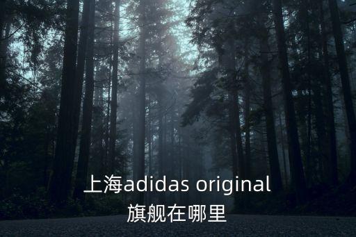 上海市新銳品牌，上海新銳攝影器材商行是真實的嗎