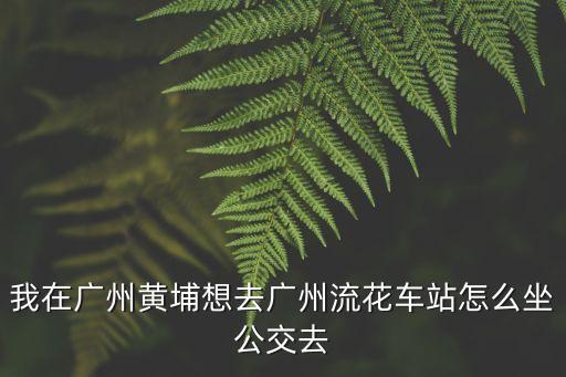 金斗灣到廣州流花車站，從珠海到廣州流花車站的車在哪里坐