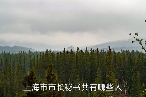 上海市組織秘書，上海市市長秘書共有哪些人